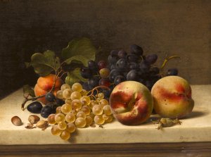 Stilleben med blommer, druer og hasselnødder